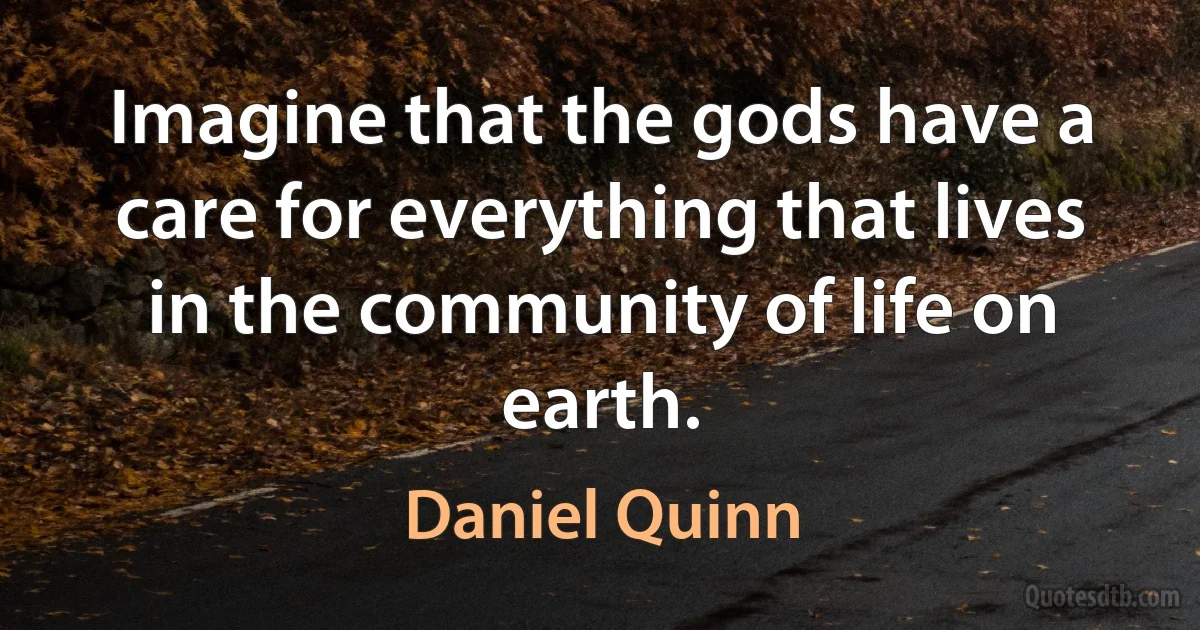 Imagine that the gods have a care for everything that lives in the community of life on earth. (Daniel Quinn)