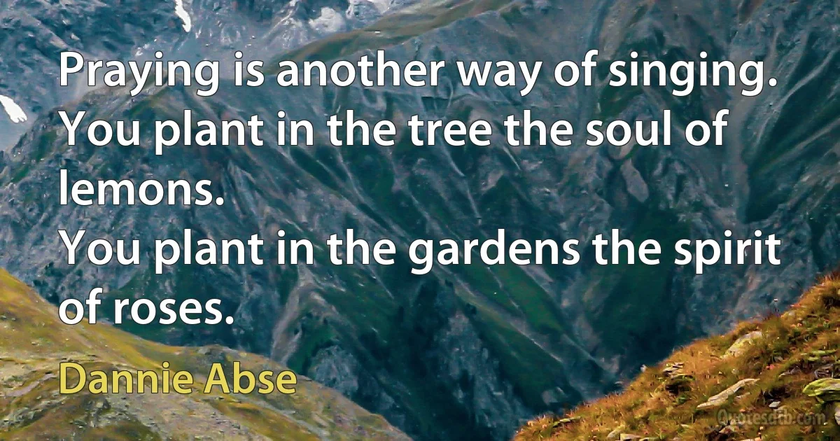 Praying is another way of singing.
You plant in the tree the soul of lemons.
You plant in the gardens the spirit of roses. (Dannie Abse)