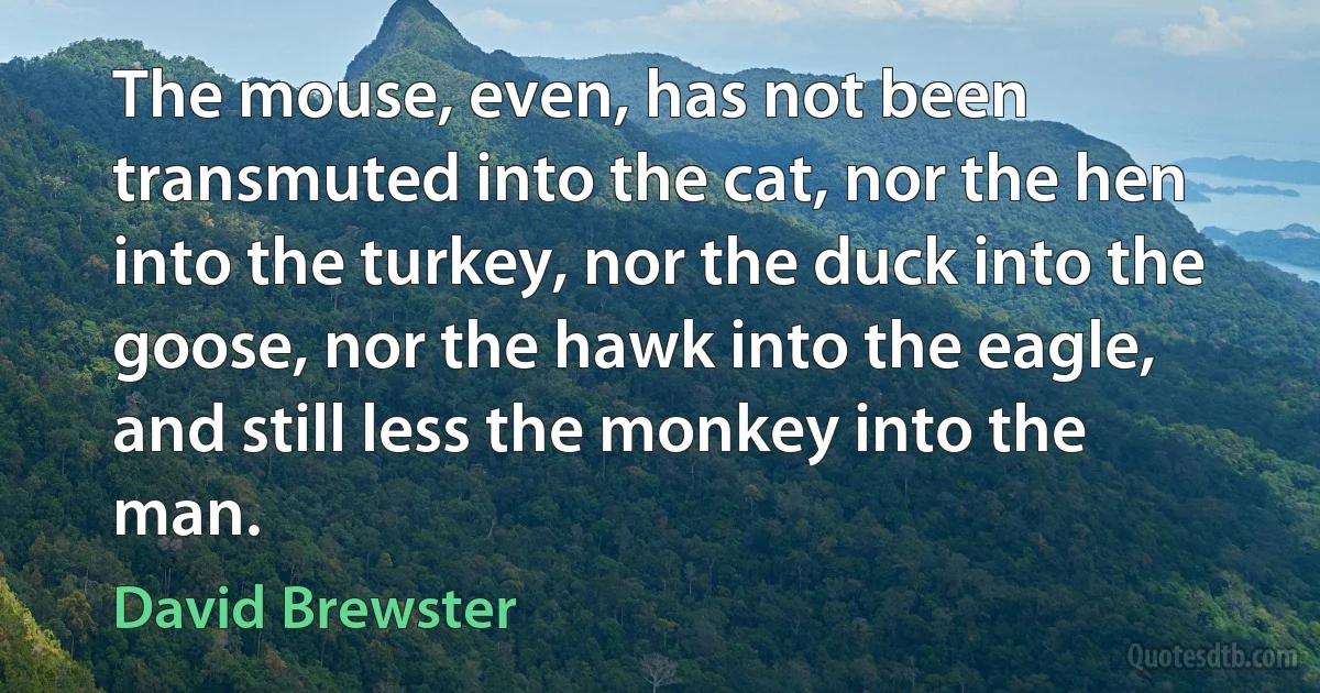 The mouse, even, has not been transmuted into the cat, nor the hen into the turkey, nor the duck into the goose, nor the hawk into the eagle, and still less the monkey into the man. (David Brewster)