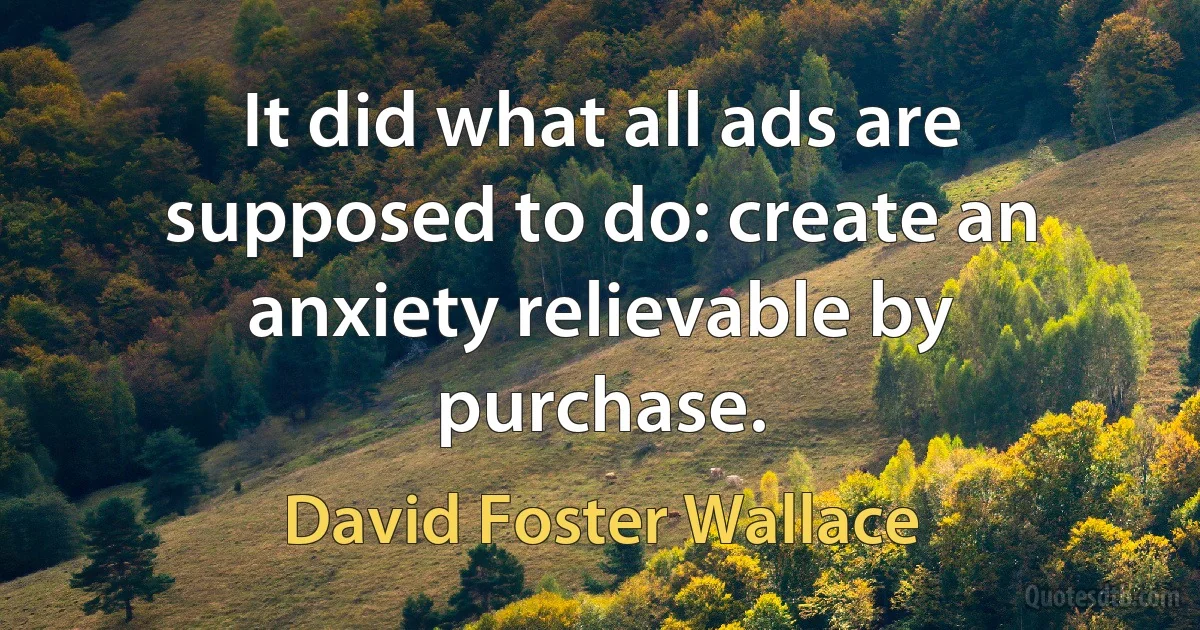 It did what all ads are supposed to do: create an anxiety relievable by purchase. (David Foster Wallace)