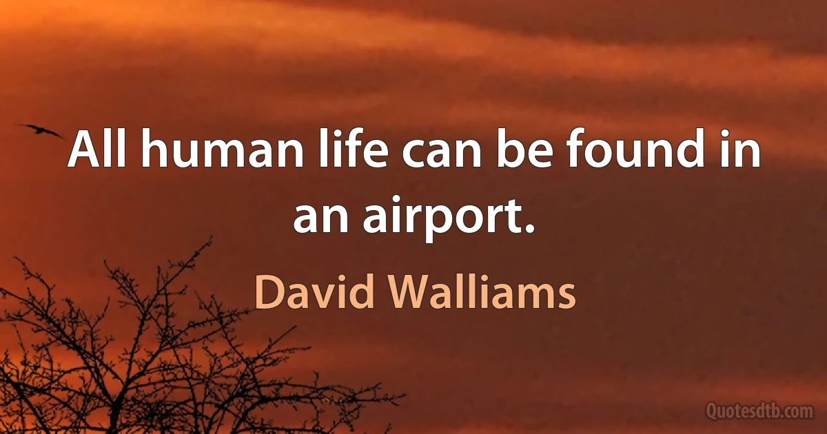 All human life can be found in an airport. (David Walliams)