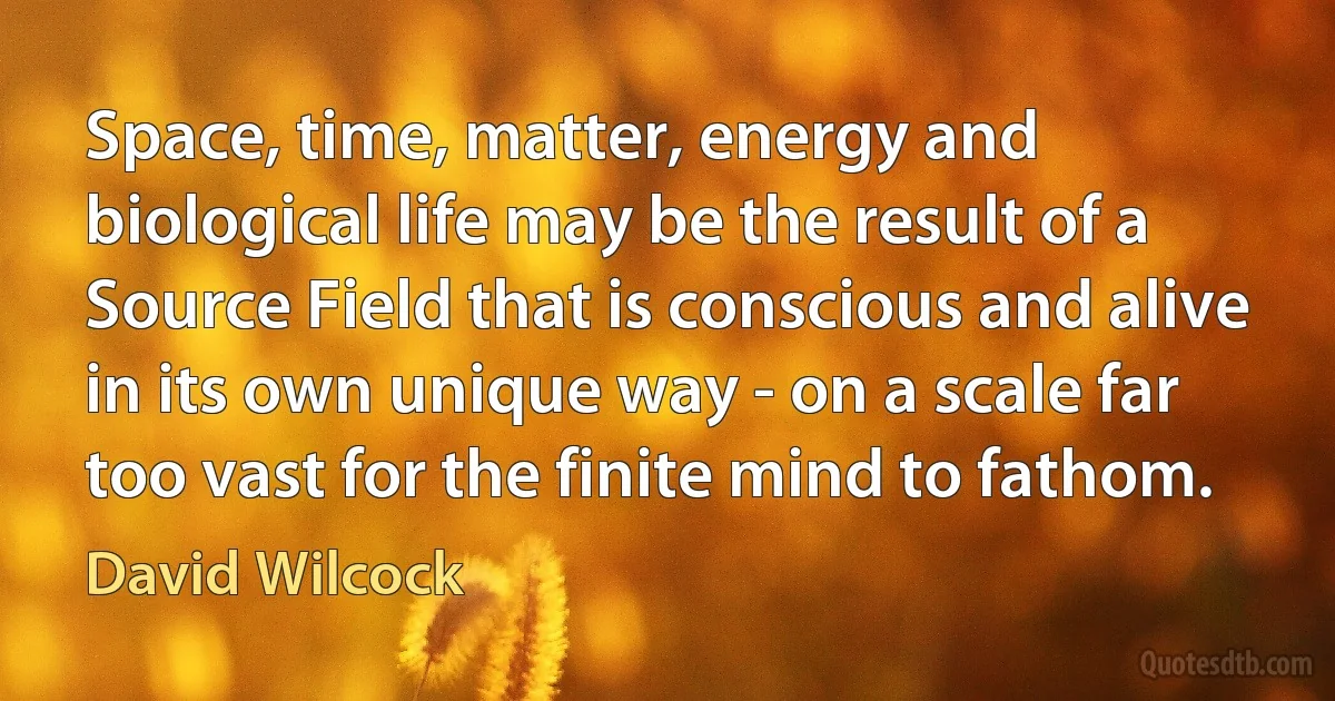 Space, time, matter, energy and biological life may be the result of a Source Field that is conscious and alive in its own unique way - on a scale far too vast for the finite mind to fathom. (David Wilcock)