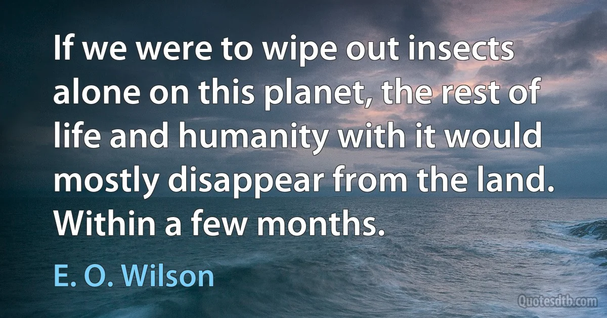 If we were to wipe out insects alone on this planet, the rest of life and humanity with it would mostly disappear from the land. Within a few months. (E. O. Wilson)