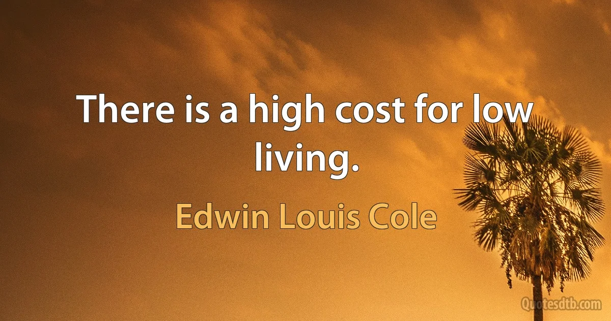 There is a high cost for low living. (Edwin Louis Cole)