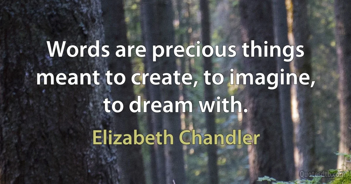 Words are precious things meant to create, to imagine, to dream with. (Elizabeth Chandler)