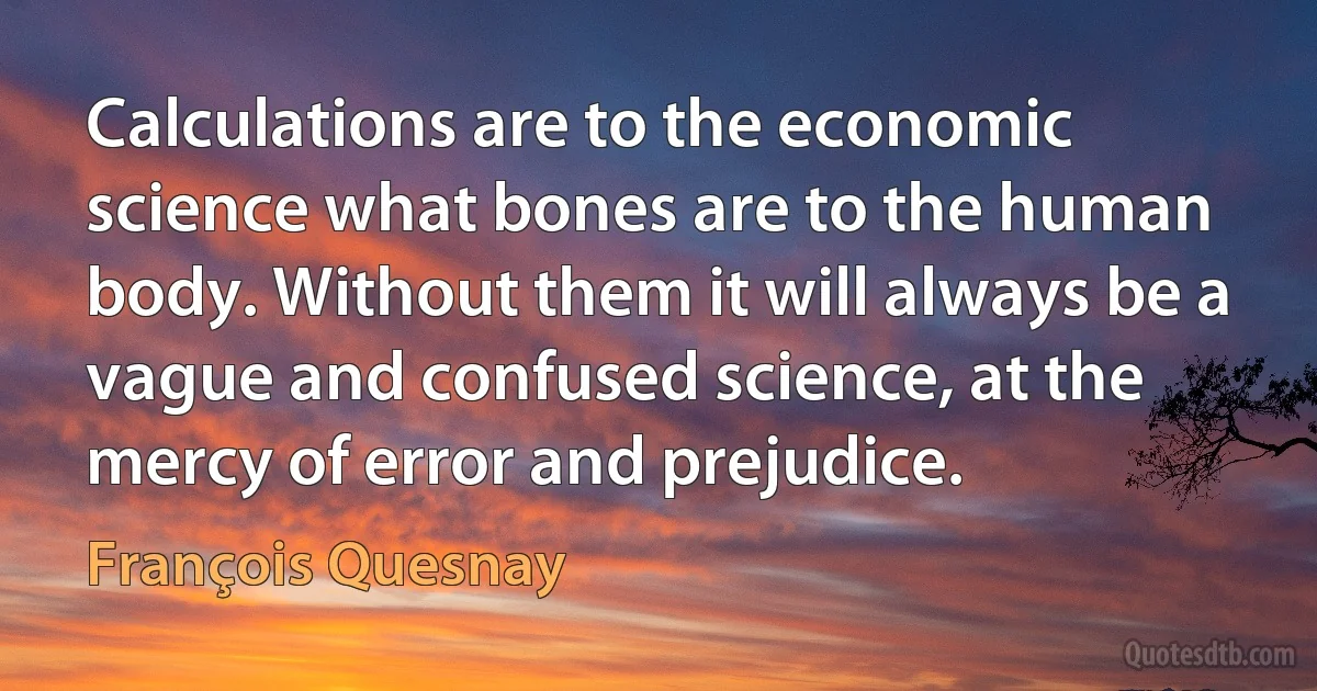 Calculations are to the economic science what bones are to the human body. Without them it will always be a vague and confused science, at the mercy of error and prejudice. (François Quesnay)