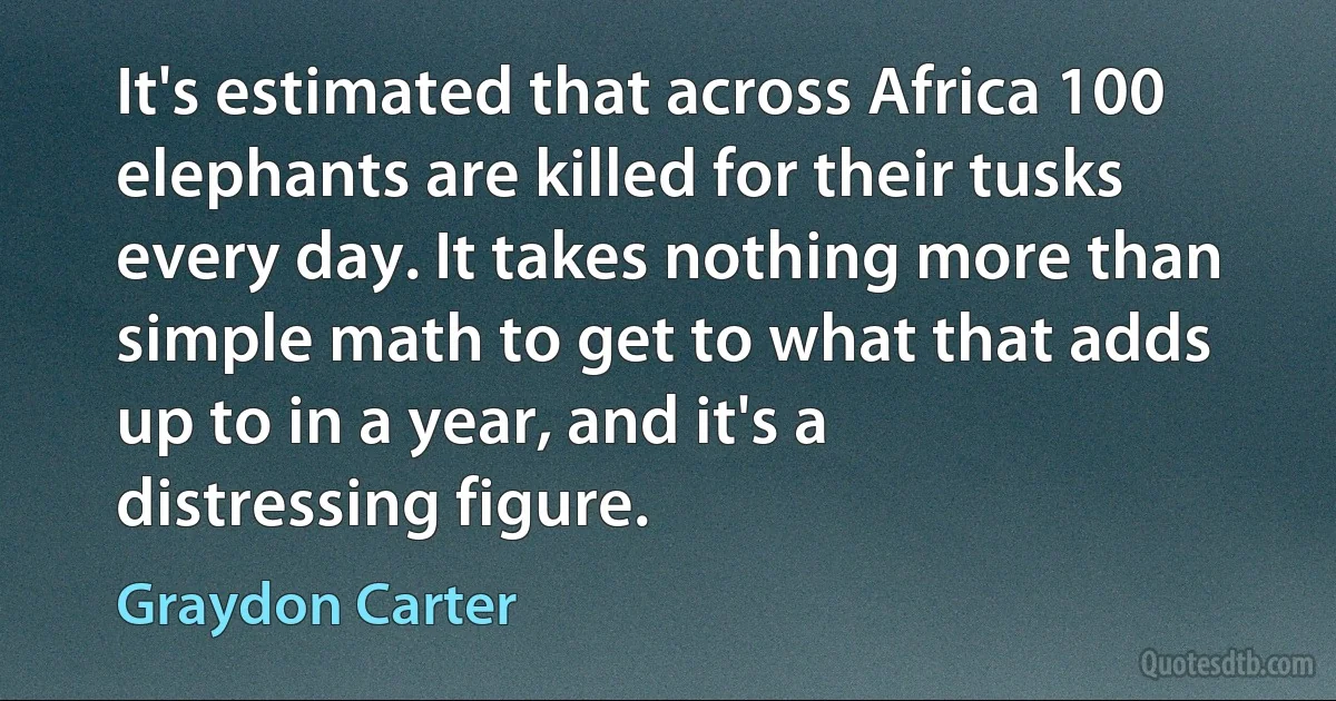 It's estimated that across Africa 100 elephants are killed for their tusks every day. It takes nothing more than simple math to get to what that adds up to in a year, and it's a distressing figure. (Graydon Carter)