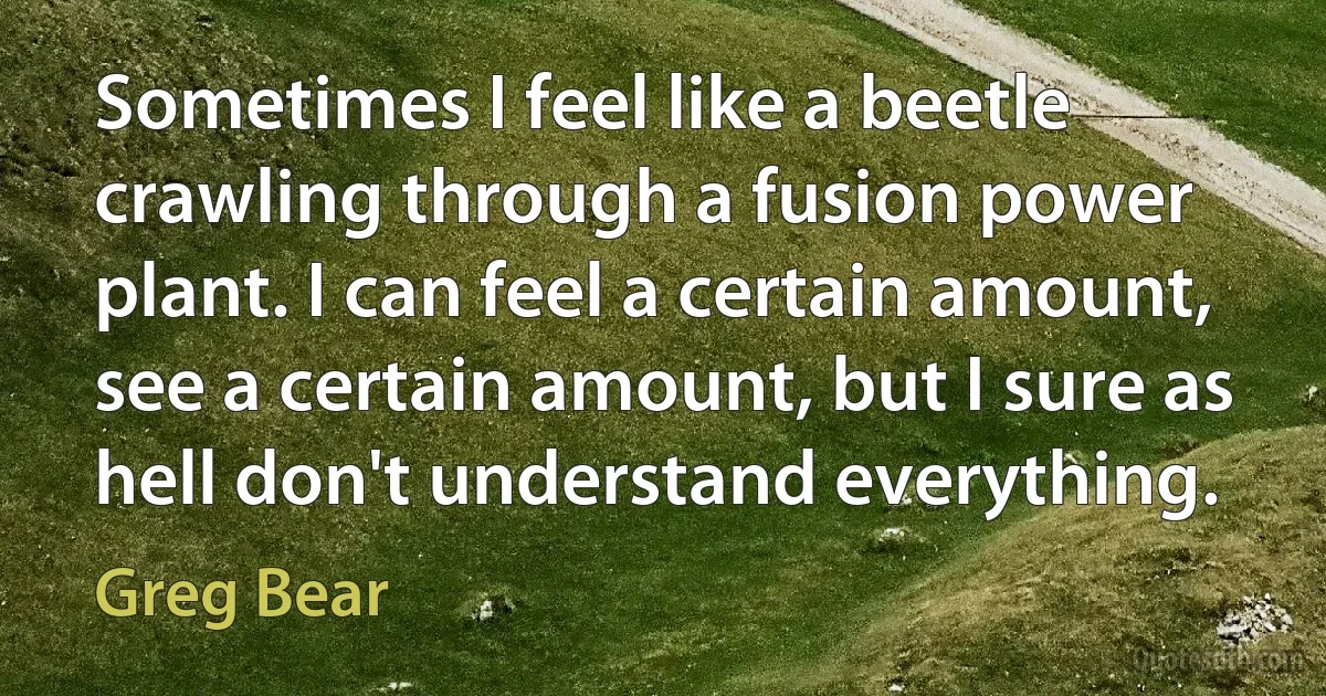 Sometimes I feel like a beetle crawling through a fusion power plant. I can feel a certain amount, see a certain amount, but I sure as hell don't understand everything. (Greg Bear)