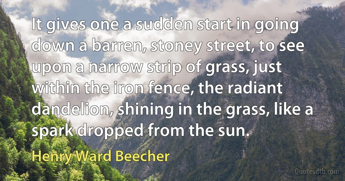 It gives one a sudden start in going down a barren, stoney street, to see upon a narrow strip of grass, just within the iron fence, the radiant dandelion, shining in the grass, like a spark dropped from the sun. (Henry Ward Beecher)