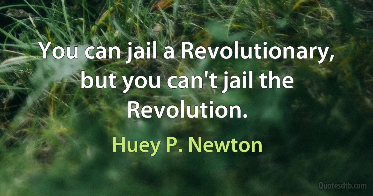 You can jail a Revolutionary, but you can't jail the Revolution. (Huey P. Newton)