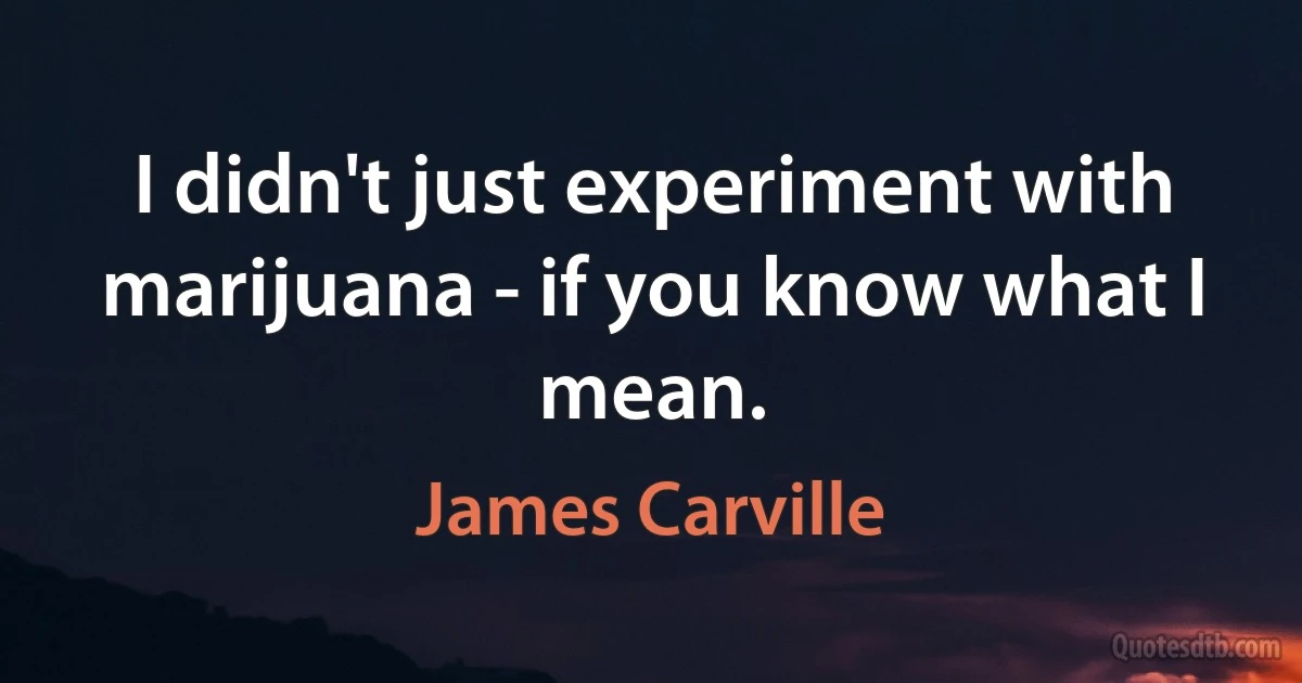 I didn't just experiment with marijuana - if you know what I mean. (James Carville)