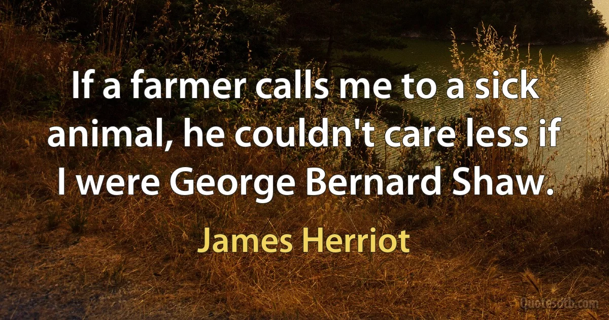 If a farmer calls me to a sick animal, he couldn't care less if I were George Bernard Shaw. (James Herriot)