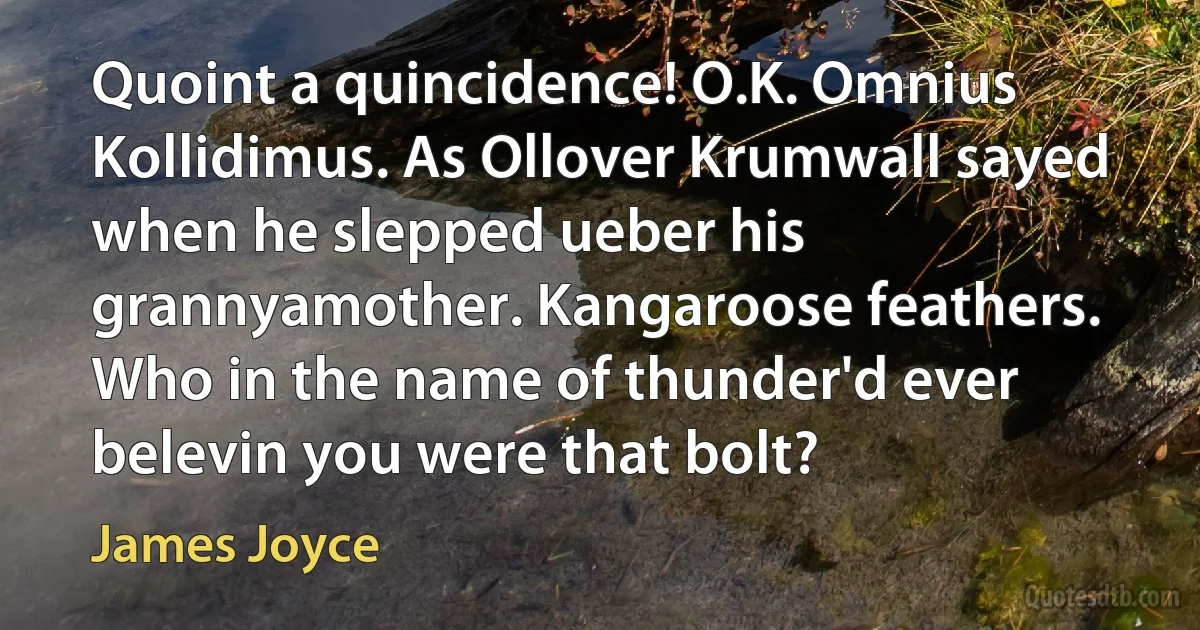 Quoint a quincidence! O.K. Omnius Kollidimus. As Ollover Krumwall sayed when he slepped ueber his grannyamother. Kangaroose feathers. Who in the name of thunder'd ever belevin you were that bolt? (James Joyce)