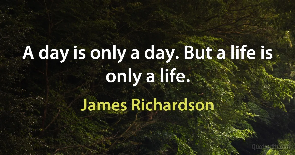 A day is only a day. But a life is only a life. (James Richardson)