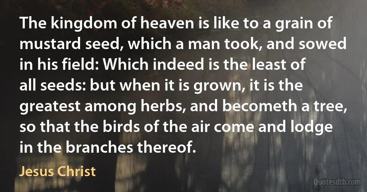 The kingdom of heaven is like to a grain of mustard seed, which a man took, and sowed in his field: Which indeed is the least of all seeds: but when it is grown, it is the greatest among herbs, and becometh a tree, so that the birds of the air come and lodge in the branches thereof. (Jesus Christ)