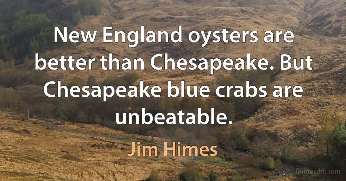 New England oysters are better than Chesapeake. But Chesapeake blue crabs are unbeatable. (Jim Himes)