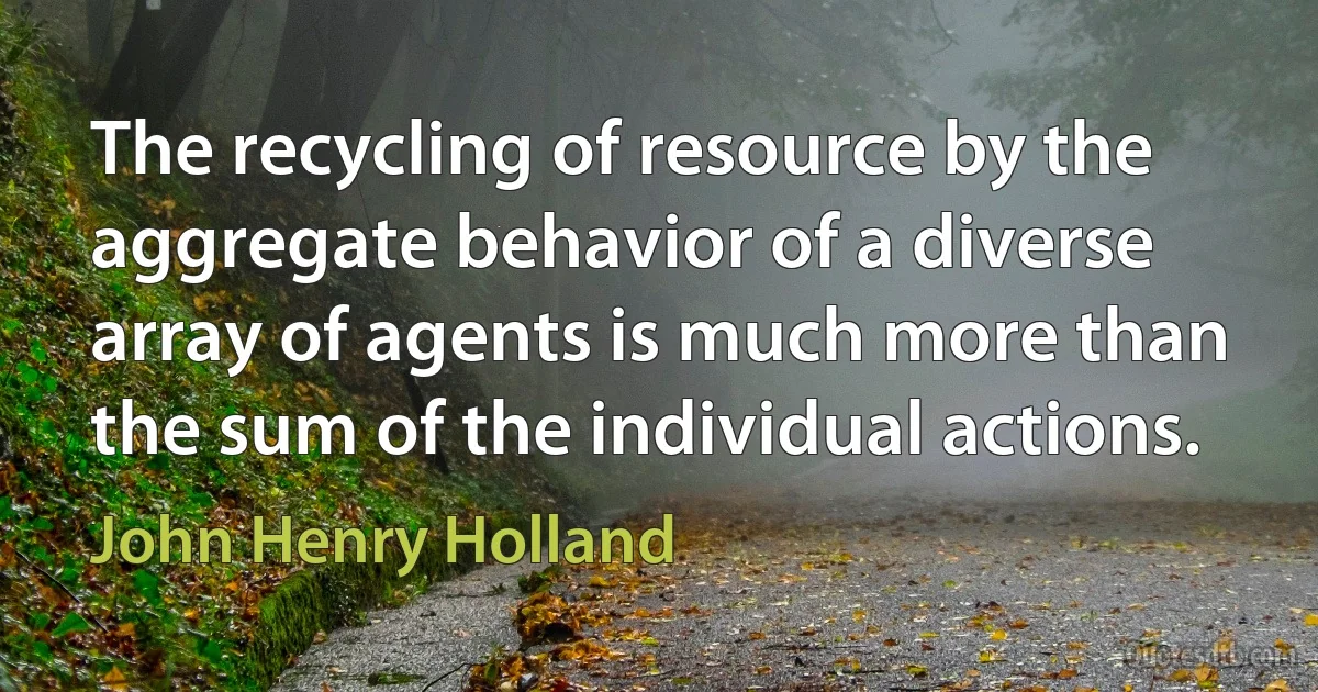 The recycling of resource by the aggregate behavior of a diverse array of agents is much more than the sum of the individual actions. (John Henry Holland)