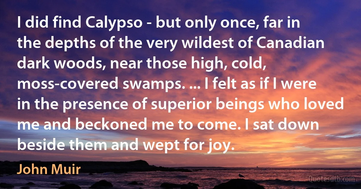 I did find Calypso - but only once, far in the depths of the very wildest of Canadian dark woods, near those high, cold, moss-covered swamps. ... I felt as if I were in the presence of superior beings who loved me and beckoned me to come. I sat down beside them and wept for joy. (John Muir)