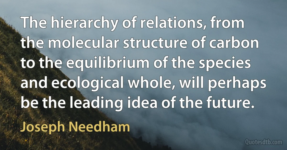 The hierarchy of relations, from the molecular structure of carbon to the equilibrium of the species and ecological whole, will perhaps be the leading idea of the future. (Joseph Needham)