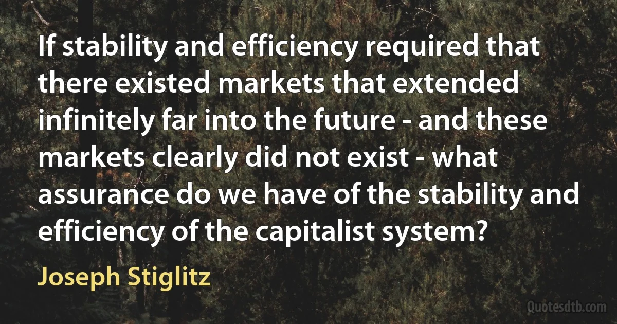 If stability and efficiency required that there existed markets that extended infinitely far into the future - and these markets clearly did not exist - what assurance do we have of the stability and efficiency of the capitalist system? (Joseph Stiglitz)