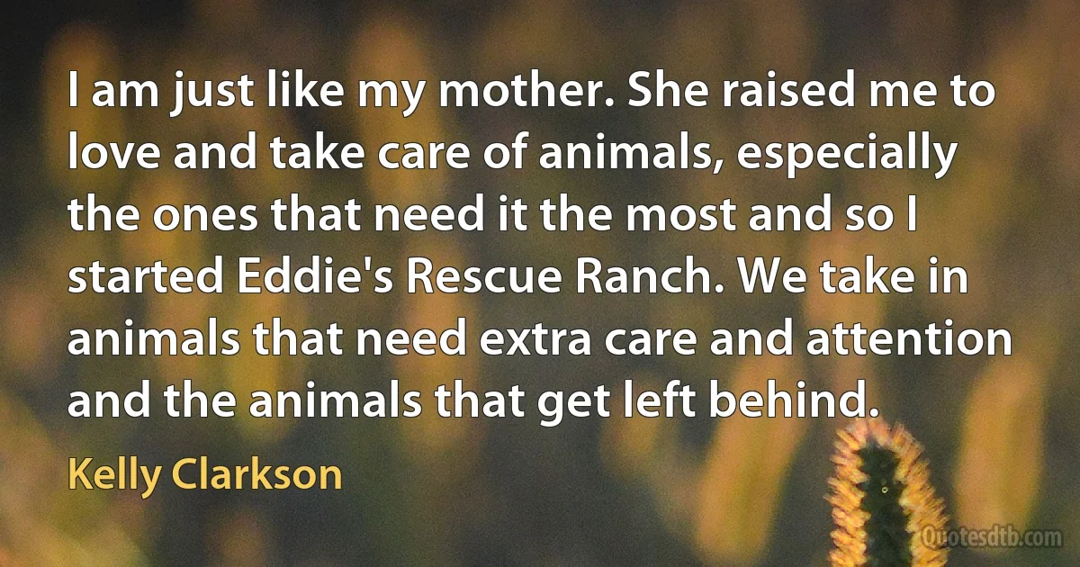 I am just like my mother. She raised me to love and take care of animals, especially the ones that need it the most and so I started Eddie's Rescue Ranch. We take in animals that need extra care and attention and the animals that get left behind. (Kelly Clarkson)