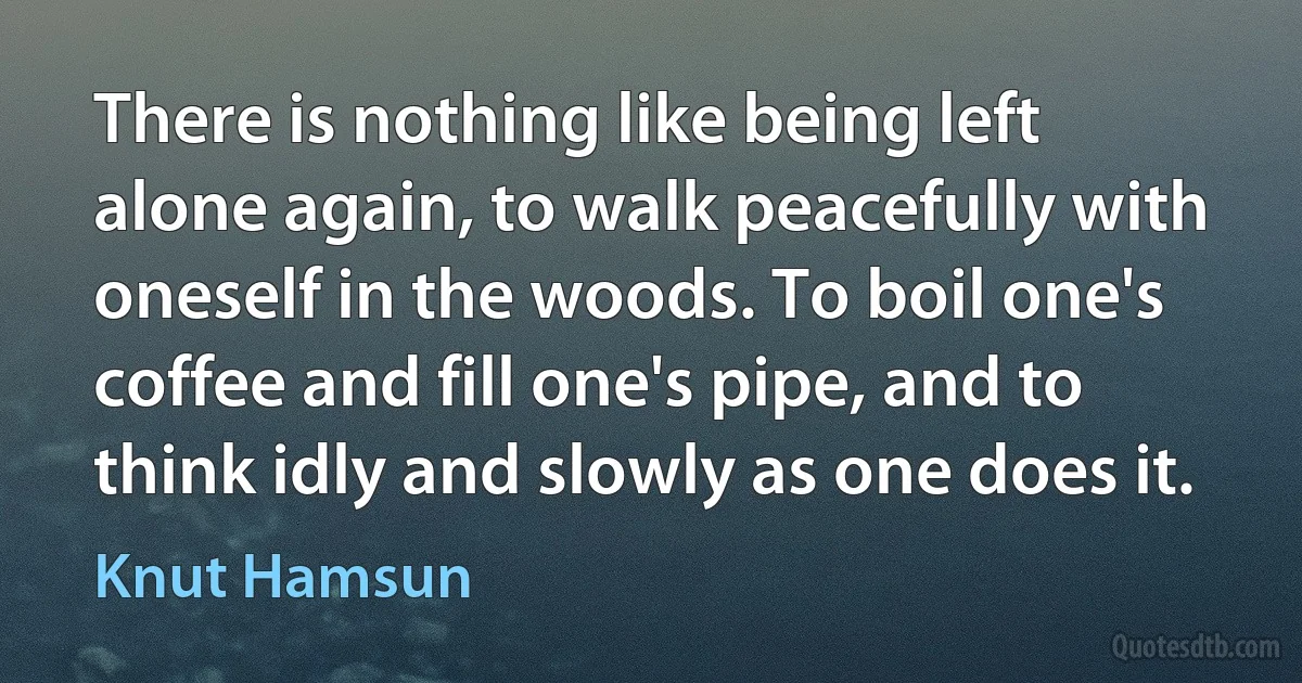 There is nothing like being left alone again, to walk peacefully with oneself in the woods. To boil one's coffee and fill one's pipe, and to think idly and slowly as one does it. (Knut Hamsun)