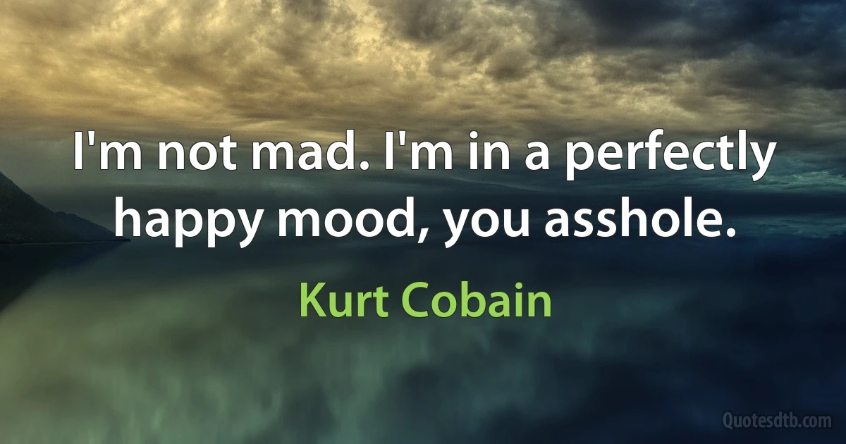 I'm not mad. I'm in a perfectly happy mood, you asshole. (Kurt Cobain)