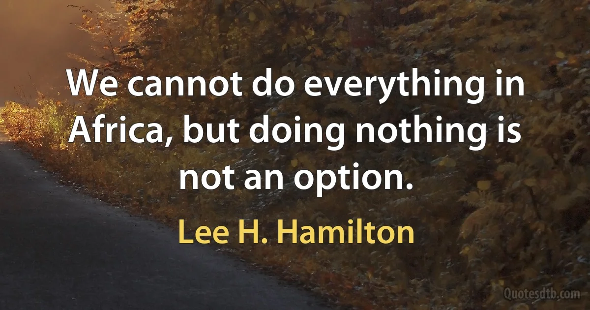 We cannot do everything in Africa, but doing nothing is not an option. (Lee H. Hamilton)