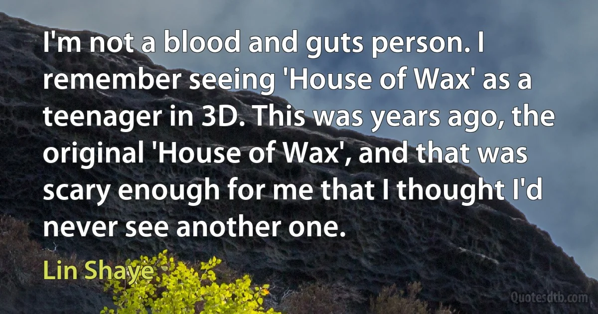 I'm not a blood and guts person. I remember seeing 'House of Wax' as a teenager in 3D. This was years ago, the original 'House of Wax', and that was scary enough for me that I thought I'd never see another one. (Lin Shaye)