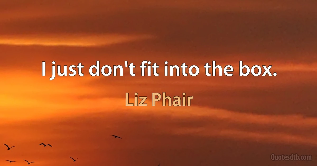 I just don't fit into the box. (Liz Phair)