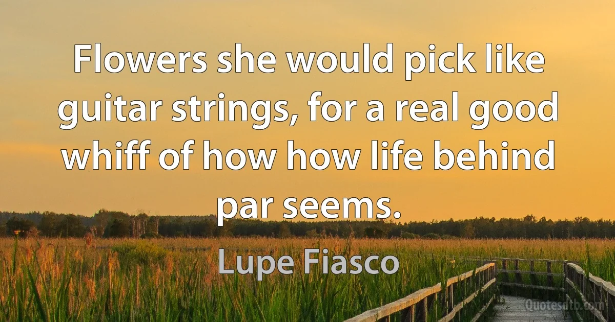 Flowers she would pick like guitar strings, for a real good whiff of how how life behind par seems. (Lupe Fiasco)