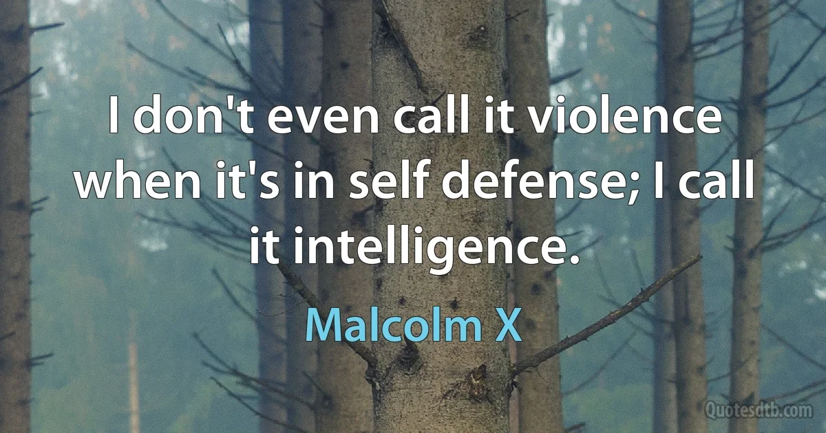 I don't even call it violence when it's in self defense; I call it intelligence. (Malcolm X)