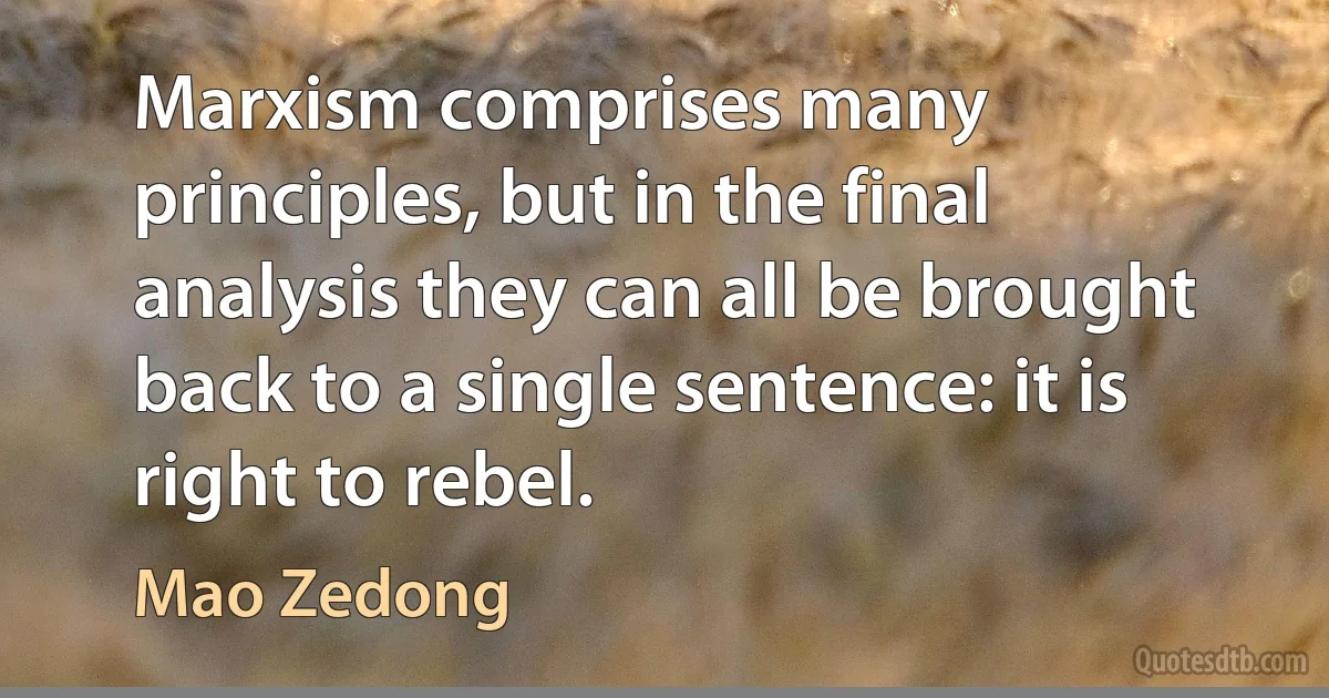 Marxism comprises many principles, but in the final analysis they can all be brought back to a single sentence: it is right to rebel. (Mao Zedong)