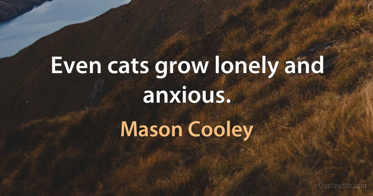 Even cats grow lonely and anxious. (Mason Cooley)