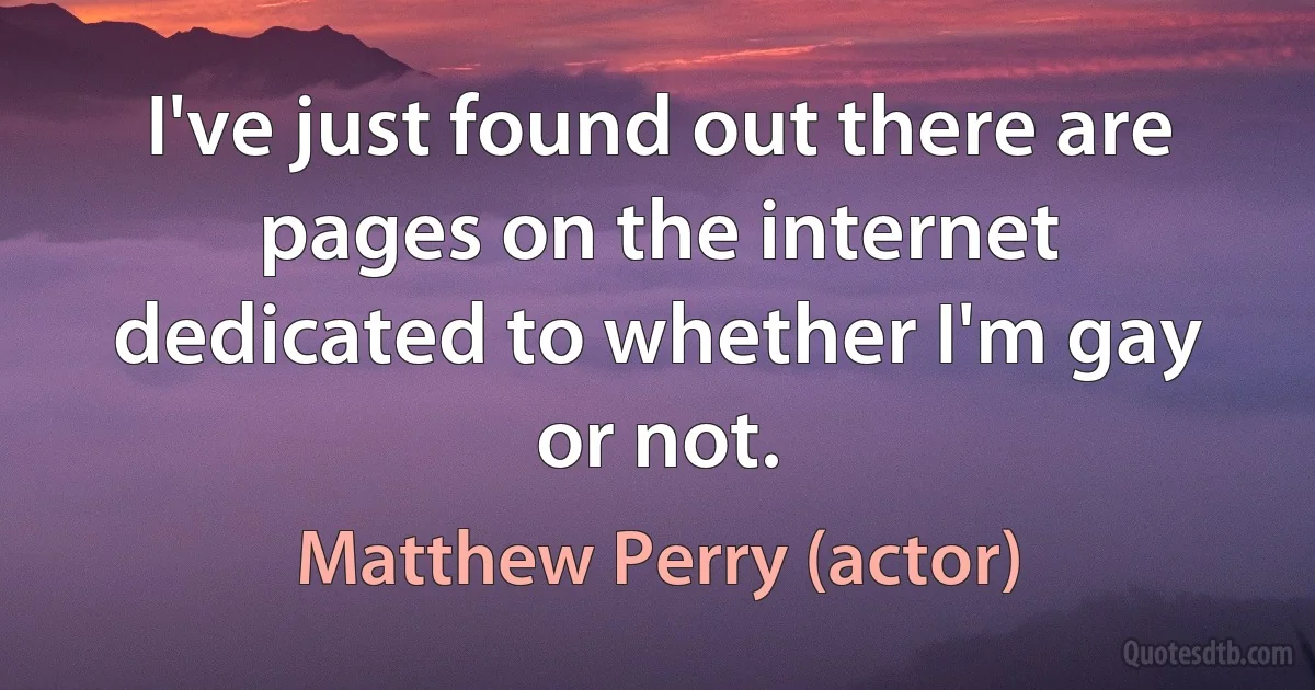 I've just found out there are pages on the internet dedicated to whether I'm gay or not. (Matthew Perry (actor))