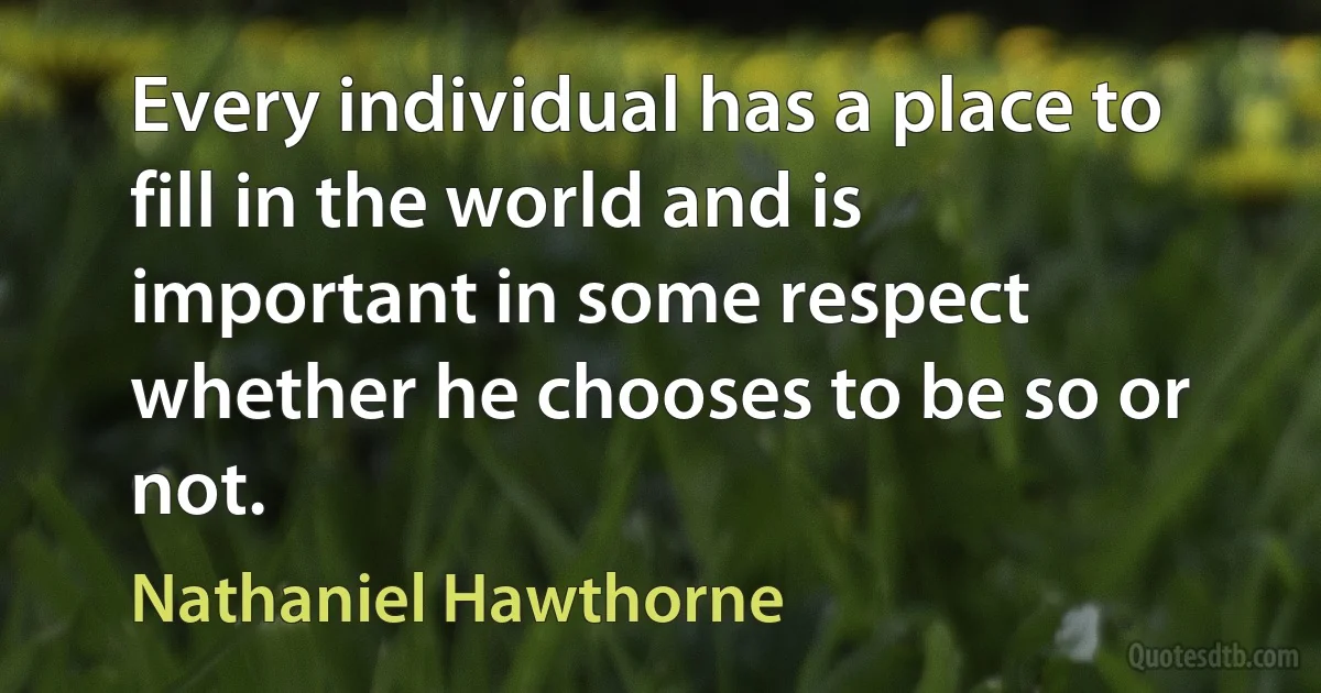 Every individual has a place to fill in the world and is important in some respect whether he chooses to be so or not. (Nathaniel Hawthorne)