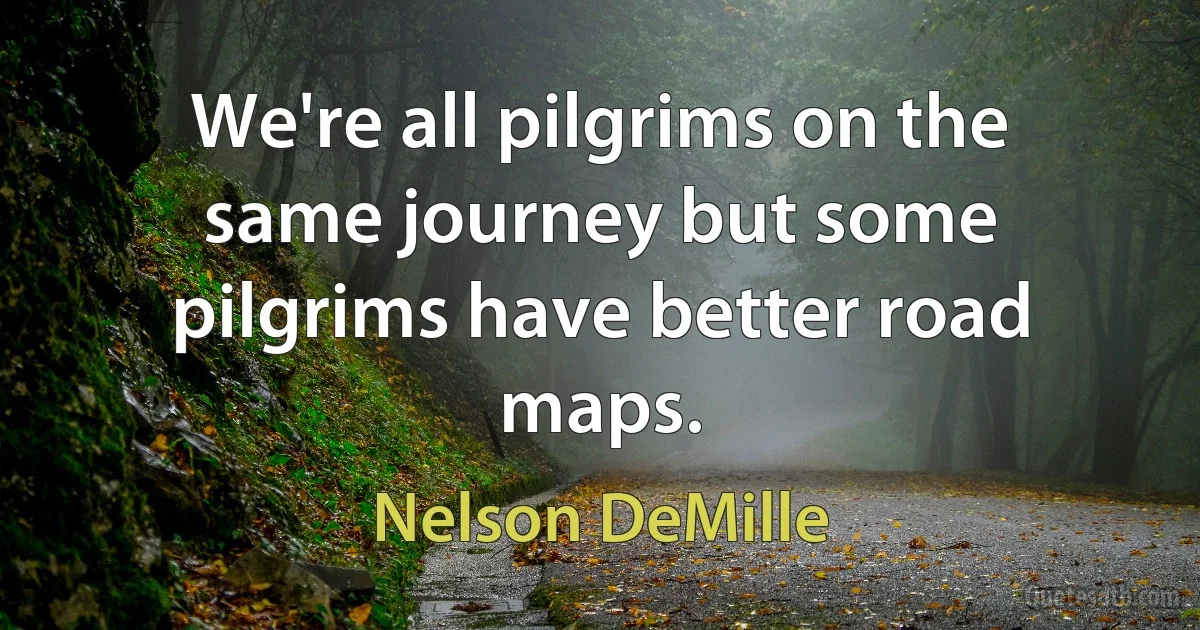 We're all pilgrims on the same journey but some pilgrims have better road maps. (Nelson DeMille)