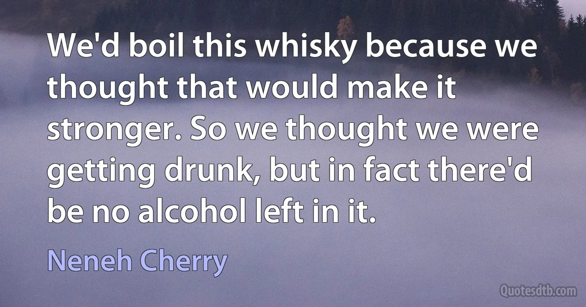 We'd boil this whisky because we thought that would make it stronger. So we thought we were getting drunk, but in fact there'd be no alcohol left in it. (Neneh Cherry)