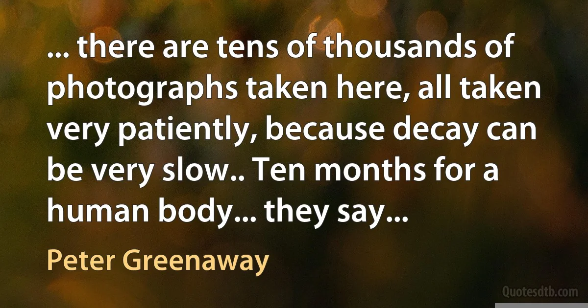 ... there are tens of thousands of photographs taken here, all taken very patiently, because decay can be very slow.. Ten months for a human body... they say... (Peter Greenaway)