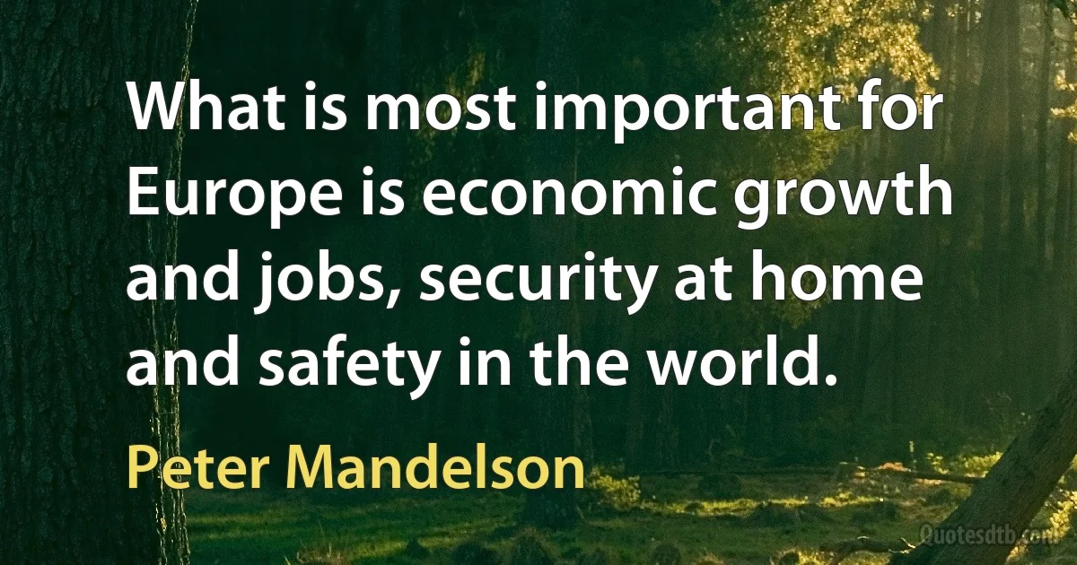 What is most important for Europe is economic growth and jobs, security at home and safety in the world. (Peter Mandelson)