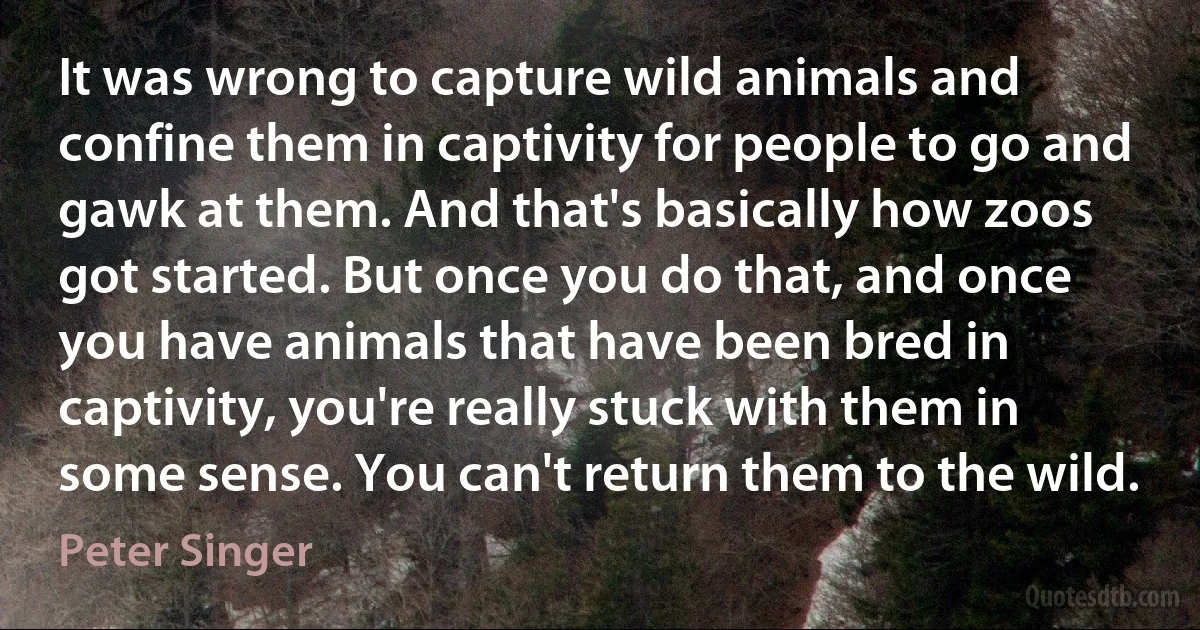 It was wrong to capture wild animals and confine them in captivity for people to go and gawk at them. And that's basically how zoos got started. But once you do that, and once you have animals that have been bred in captivity, you're really stuck with them in some sense. You can't return them to the wild. (Peter Singer)