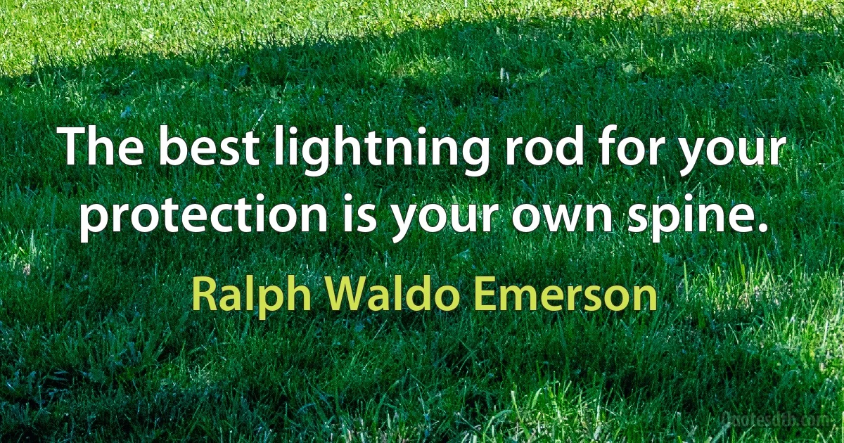 The best lightning rod for your protection is your own spine. (Ralph Waldo Emerson)