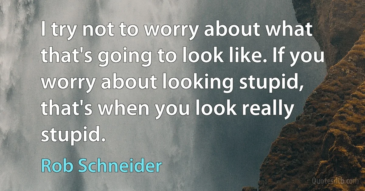 I try not to worry about what that's going to look like. If you worry about looking stupid, that's when you look really stupid. (Rob Schneider)