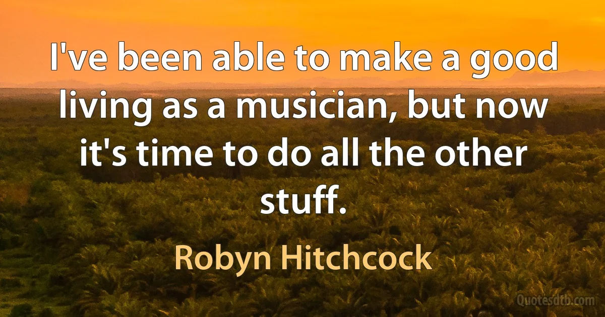 I've been able to make a good living as a musician, but now it's time to do all the other stuff. (Robyn Hitchcock)