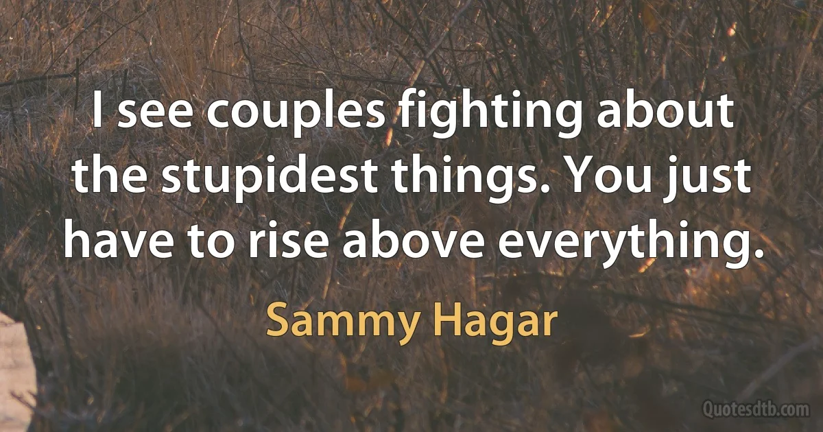 I see couples fighting about the stupidest things. You just have to rise above everything. (Sammy Hagar)