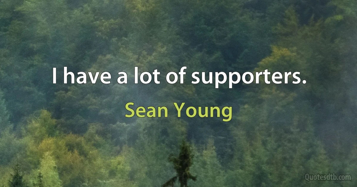 I have a lot of supporters. (Sean Young)