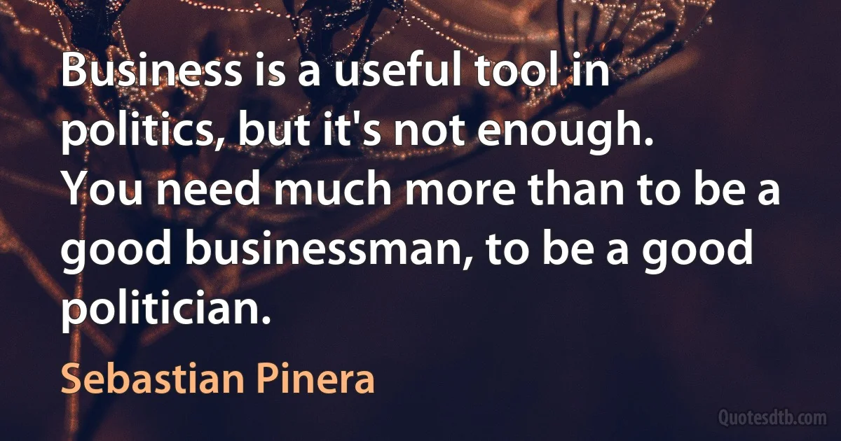 Business is a useful tool in politics, but it's not enough. You need much more than to be a good businessman, to be a good politician. (Sebastian Pinera)