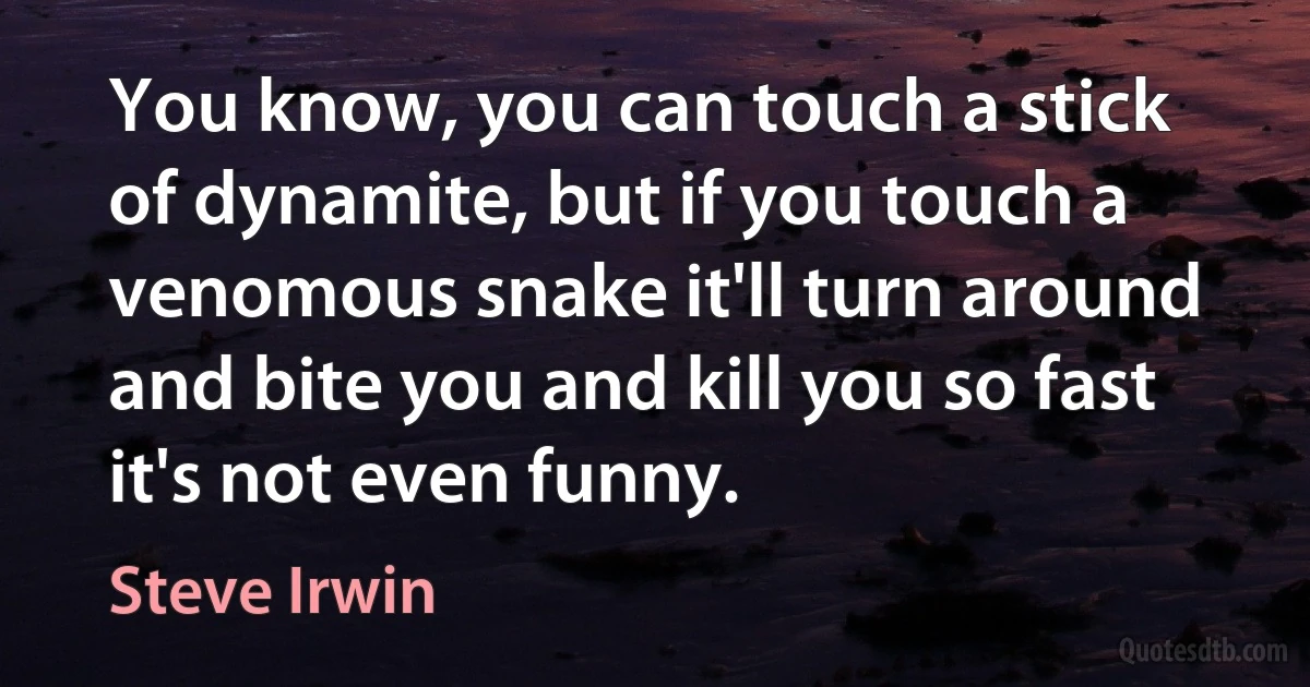 You know, you can touch a stick of dynamite, but if you touch a venomous snake it'll turn around and bite you and kill you so fast it's not even funny. (Steve Irwin)