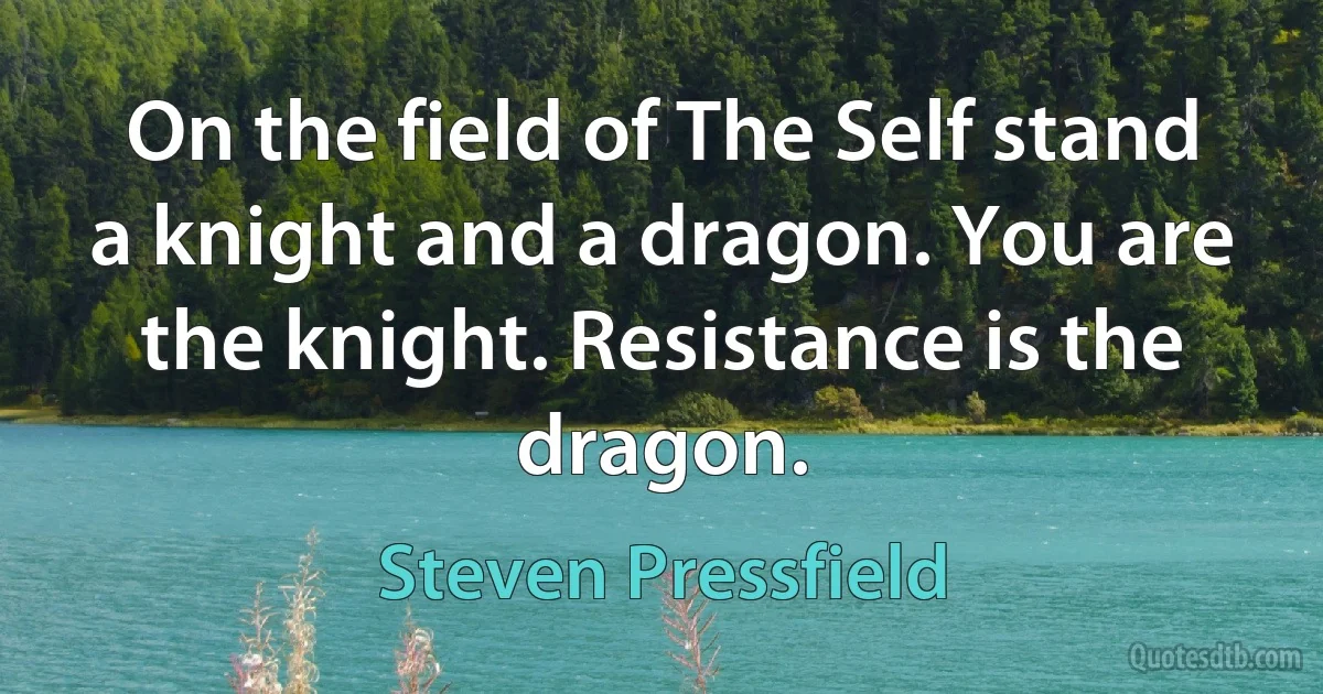 On the field of The Self stand a knight and a dragon. You are the knight. Resistance is the dragon. (Steven Pressfield)