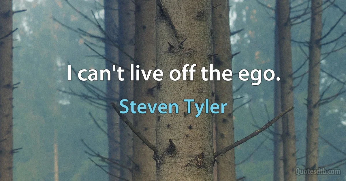 I can't live off the ego. (Steven Tyler)